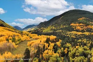 143 N Conundrum Creek Rd, Aspen, CO 81611 - Photo 3