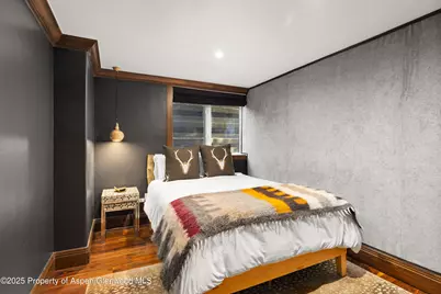 777 Castle Creek Drive, Aspen, CO 81611 - Photo 21