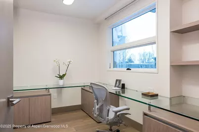 126 Juan Street, Aspen, CO 81611 - Photo 29