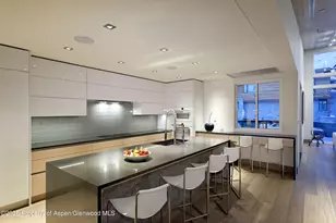 126 Juan St, Aspen, CO 81611 - Photo 11