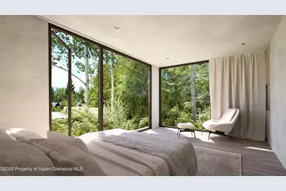 433 Gillespie Street, Aspen, CO 81611 - Photo 3