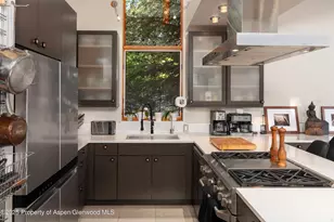 26 Bunker Loop, Aspen, CO 81611 - Photo 37