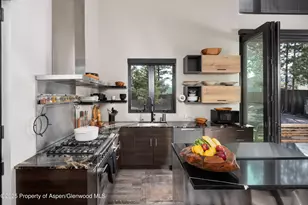 26 Bunker Loop, Aspen, CO 81611 - Photo 39