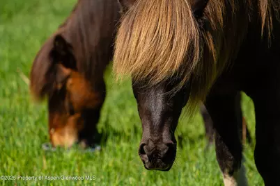 26 Bunker Loop, Aspen, CO 81611 - Photo 69