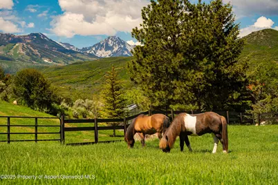 26 Bunker Loop, Aspen, CO 81611 - Photo 99