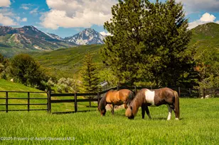 26 Bunker Loop, Aspen, CO 81611 - Photo 99