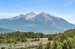 2959 Co Rd 103, Carbondale, CO 81623 - Photo 11