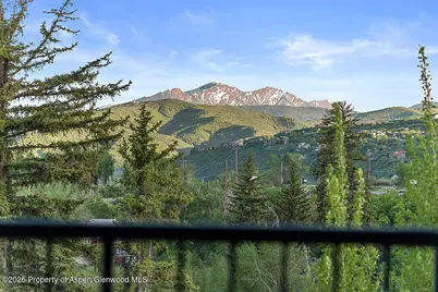 26 Twining Flats Road, Aspen, CO 81611 - Photo 21
