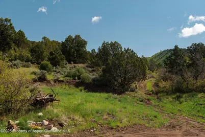 3691 E Sopris Creek Road, Basalt, CO 81621 - Photo 13