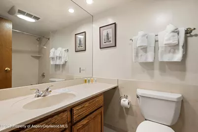 301 E Hyman Avenue #207, Weeks 35,36,48, Aspen, CO 81611 - Photo 11