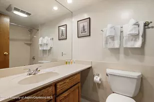 301 E Hyman Ave, Aspen, CO 81611 - Photo 11