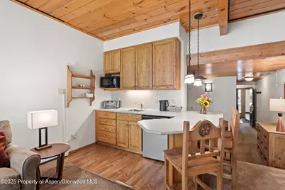 301 E Hyman Avenue #207, Weeks 35,36,48, Aspen, CO 81611 - Photo 5