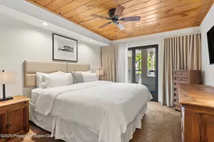 301 E Hyman Ave, Aspen, CO 81611 - Photo 7