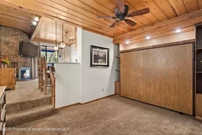 301 E Hyman Avenue #207, Weeks 35,36,48, Aspen, CO 81611 - Photo 9