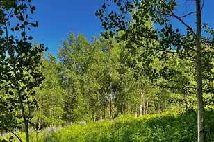 2601 Midnight Mine Road Rd, Aspen, CO 81611 - Photo 5