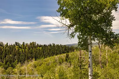 15805 County Road 245, New Castle, CO 81647 - Photo 41