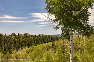 15805 Co Rd 245, New Castle, CO 81647 - Photo 41