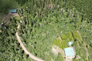 15805 Co Rd 245, New Castle, CO 81647 - Photo 37