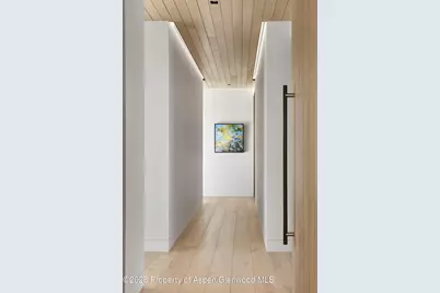 401 Carroll Drive, Aspen, CO 81611 - Photo 23