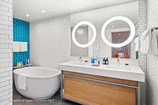 550 S Spring St, Aspen, CO 81611 - Photo 31