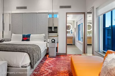 550 S Spring Street #F10 1-10, Aspen, CO 81611 - Photo 25
