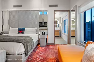 550 S Spring St, Aspen, CO 81611 - Photo 25