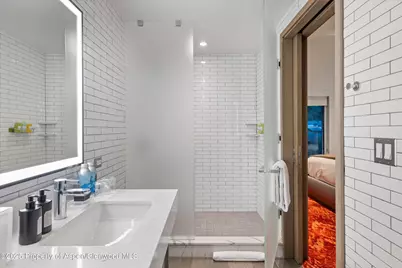 550 S Spring Street #F10 1-10, Aspen, CO 81611 - Photo 41