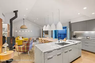 550 S Spring St, Aspen, CO 81611 - Photo 9