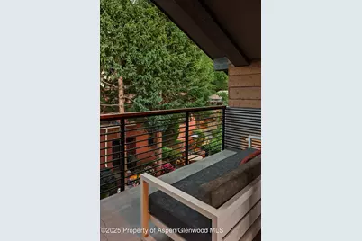 550 S Spring Street #F10 1-10, Aspen, CO 81611 - Photo 43