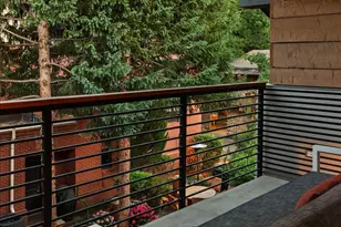 550 S Spring St, Aspen, CO 81611 - Photo 43