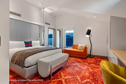 550 S Spring Street #F10 1-10, Aspen, CO 81611 - Photo 21