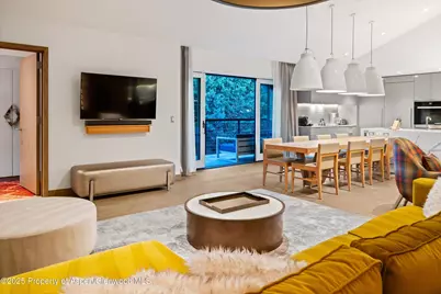 550 S Spring Street #F10 1-10, Aspen, CO 81611 - Photo 13