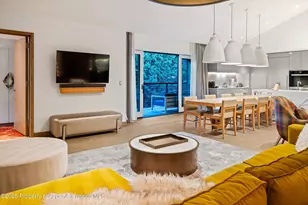 550 S Spring St, Aspen, CO 81611 - Photo 13