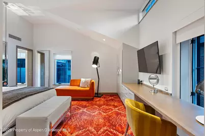 550 S Spring Street #F10 1-10, Aspen, CO 81611 - Photo 23