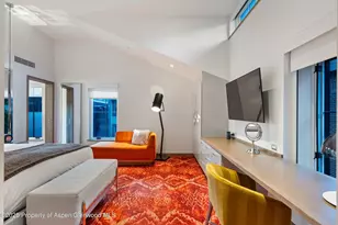 550 S Spring St, Aspen, CO 81611 - Photo 23