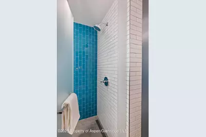 550 S Spring Street #F10 1-10, Aspen, CO 81611 - Photo 39