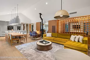 550 S Spring St, Aspen, CO 81611 - Photo 11