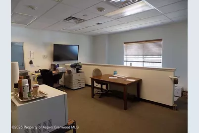 181 12th Street, Carbondale, CO 81623 - Photo 9