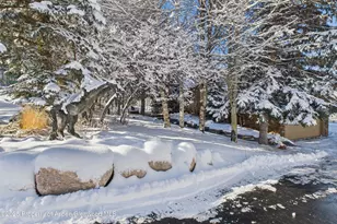 593 Meadowood Dr, Aspen, CO 81611 - Photo 15