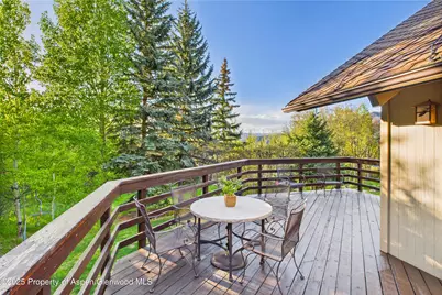 593 Meadowood Drive, Aspen, CO 81611 - Photo 23