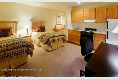 835 E Cooper Avenue #4, Aspen, CO 81611 - Photo 11