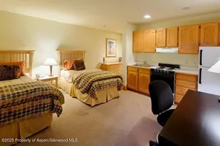 835 E Cooper Ave, Aspen, CO 81611 - Photo 11