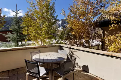 566 Race Street, Aspen, CO 81611 - Photo 21