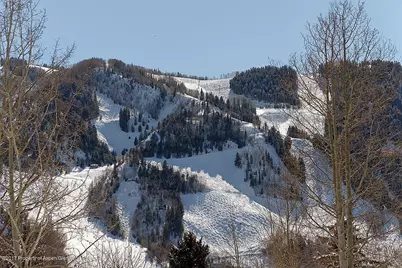 566 Race Street, Aspen, CO 81611 - Photo 19