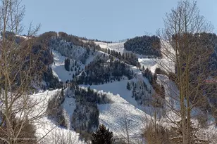 566 Race St, Aspen, CO 81611 - Photo 19