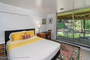 979 Queen St, Aspen, CO 81611 - Photo 15