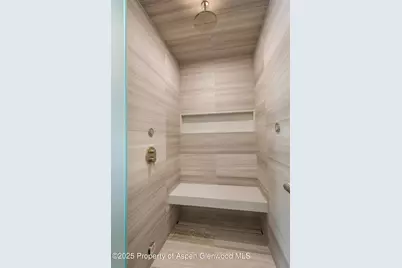 800 E Hopkins Avenue #B5, Aspen, CO 81611 - Photo 17