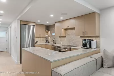 800 E Hopkins Avenue #B5, Aspen, CO 81611 - Photo 5