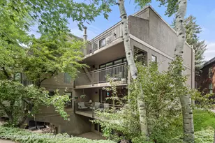 800 E Hopkins Ave, Aspen, CO 81611 - Photo 27