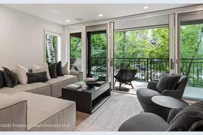 800 E Hopkins Avenue #B5, Aspen, CO 81611 - Photo 3